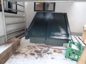 P1080546_800x600